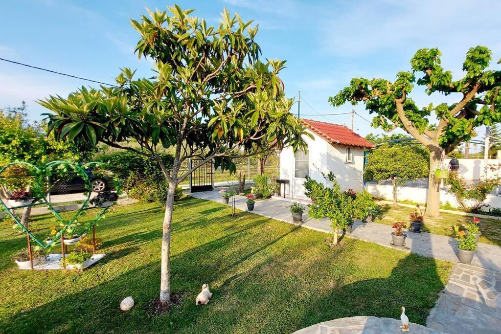 Mom'S Seaside Home Kariani Ngoại thất bức ảnh